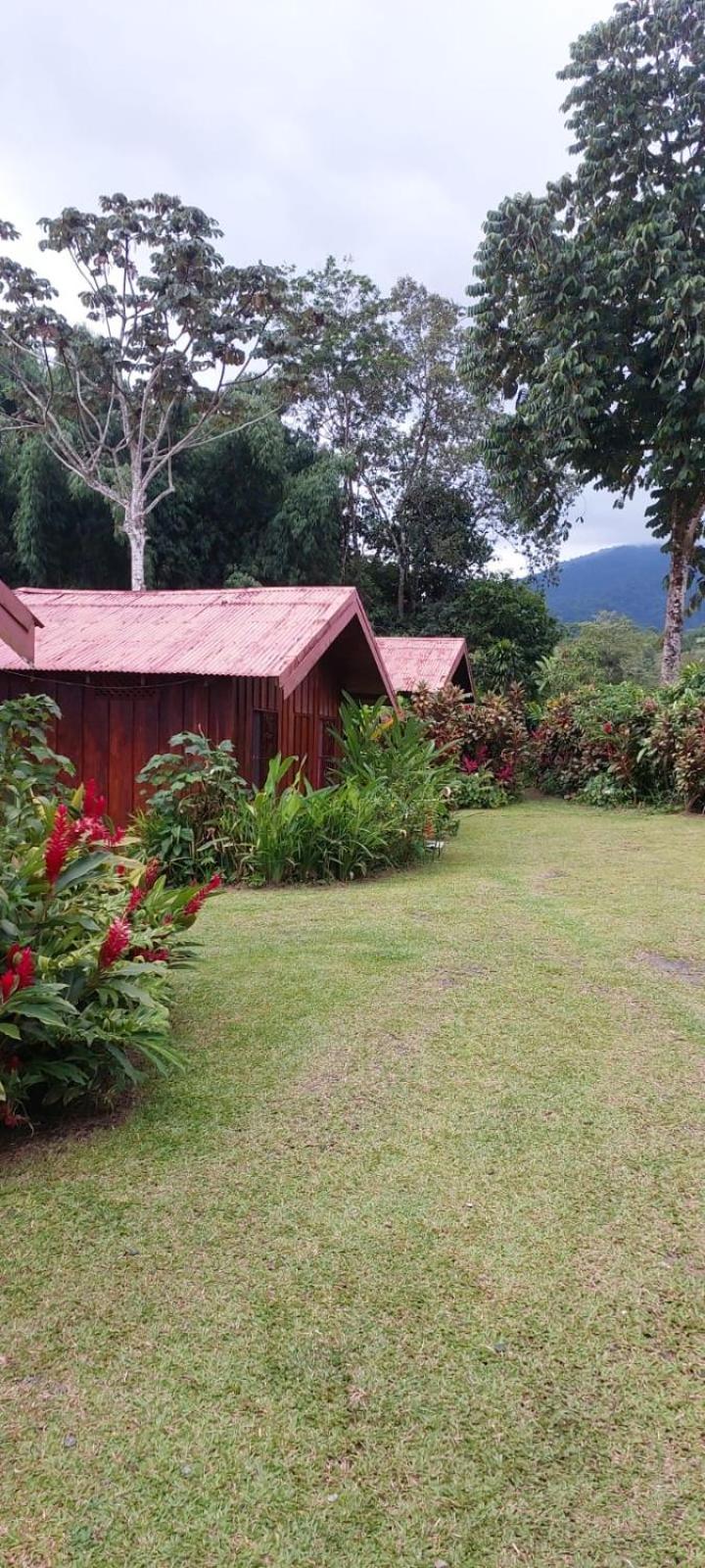 Cabinas La Catarata La Fortuna Exterior foto